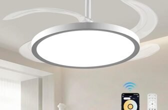 Our Review of the Decorative Ceiling Fan: Aesthetic Appeal vs. Functionality